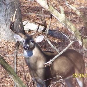 Meet your Posher, Tim